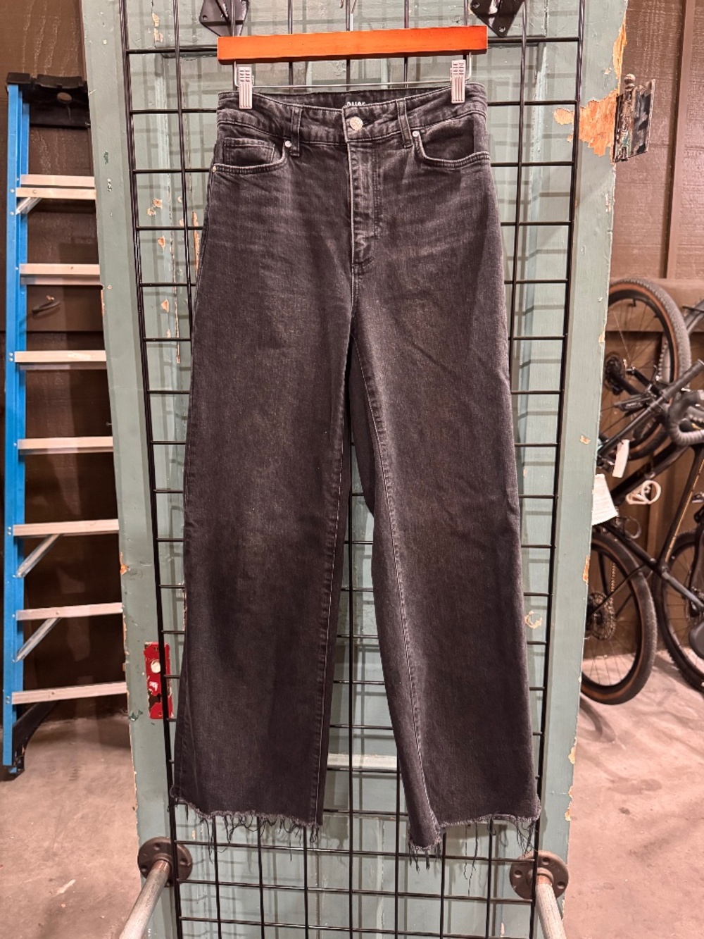Anessa 31” Wide Leg Jean Women